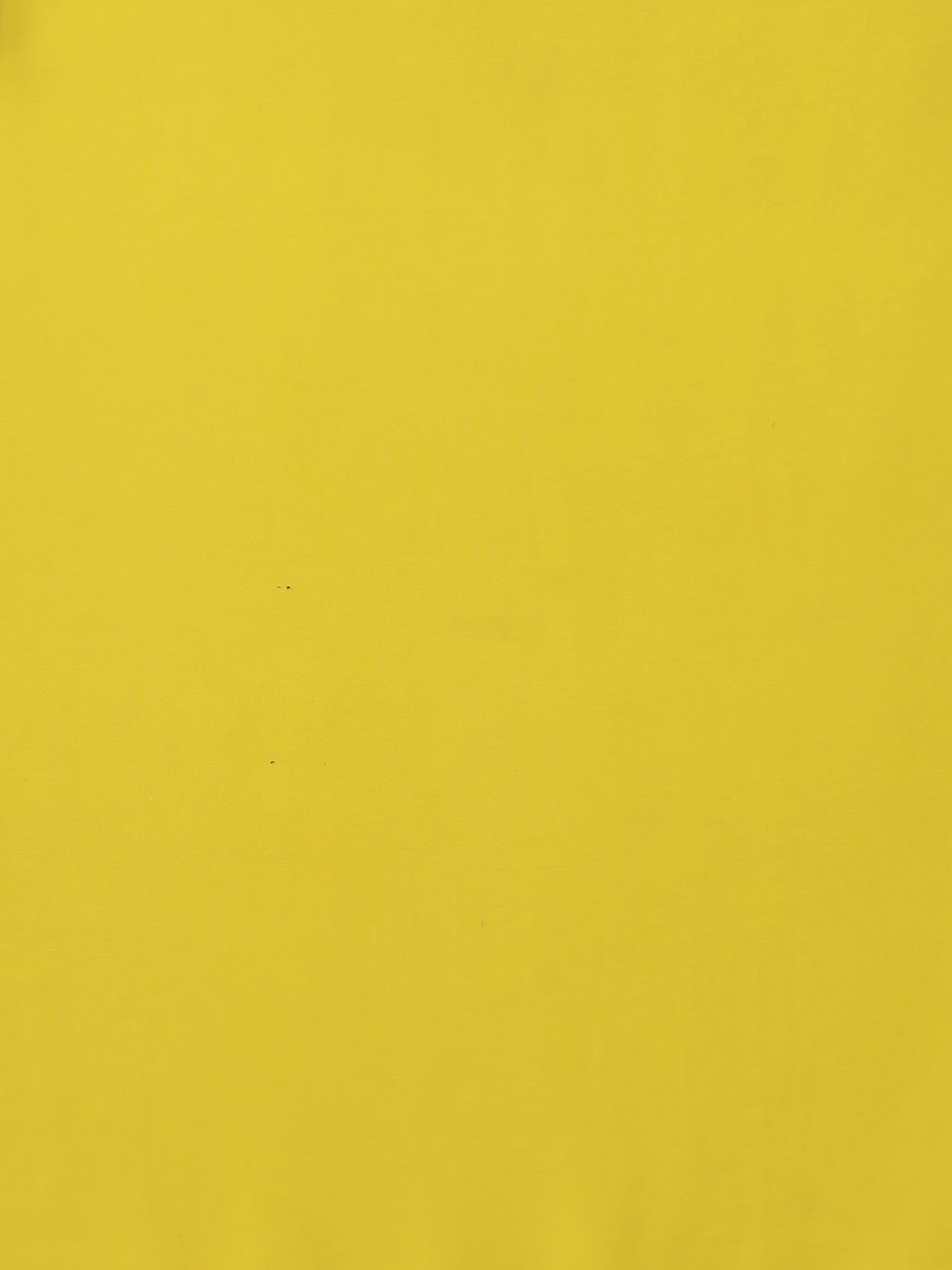 trueBrowns Lime Georgette Embroidered Saree With unstitched Blouse