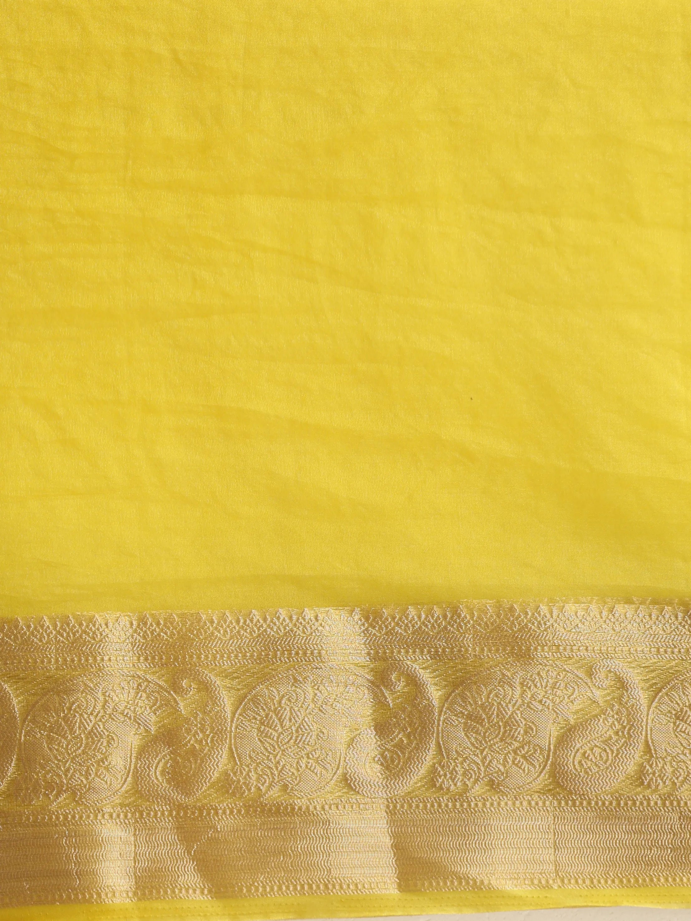 trueBrowns Lime Organza Saree With Unstitched Blouse